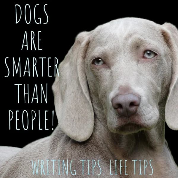 Cover art for Dogs Are Smarter Than People: Writing Life, Marriage and Motivation