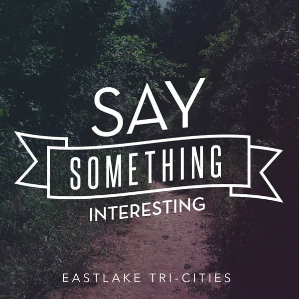 Cover art for Say Something Interesting
