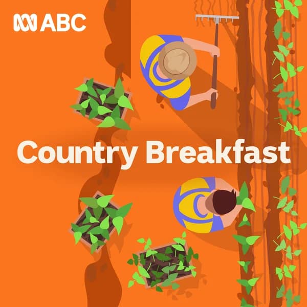 Cover art for Country Breakfast