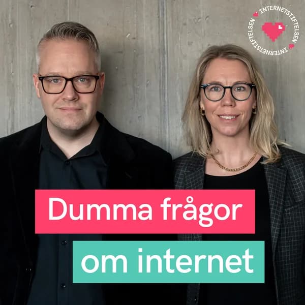 Cover art for Dumma frågor om internet