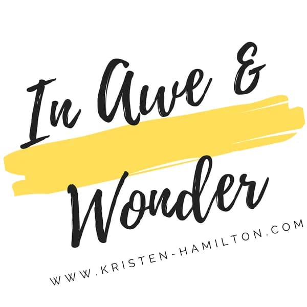 Cover art for In Awe & Wonder