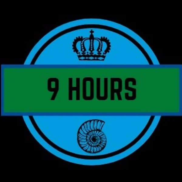 Cover art for 9 Hours