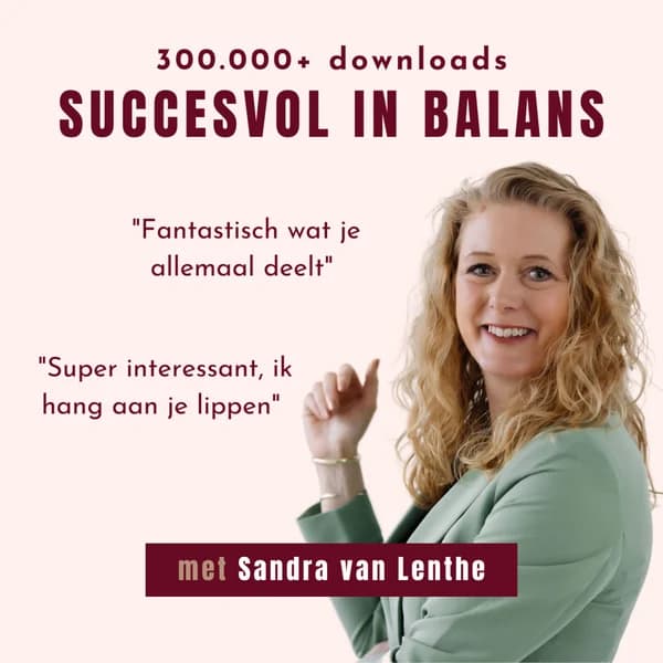 Cover art for Succesvol in Balans
