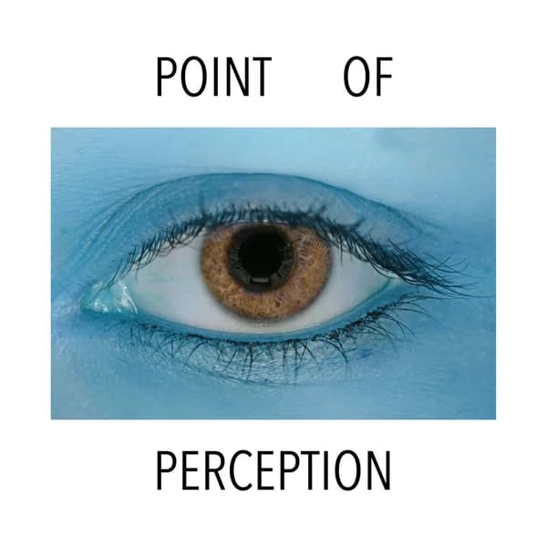 Cover art for Point of Perception