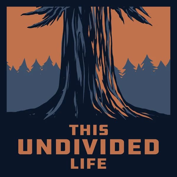 Cover art for This Undivided Life