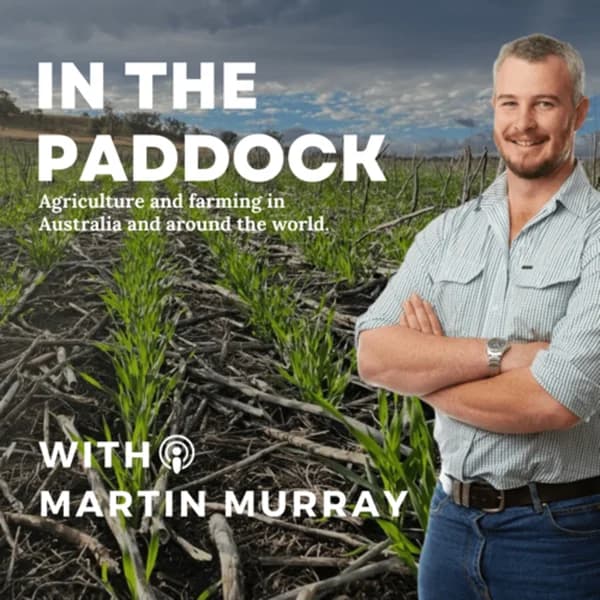 Cover art for In The Paddock