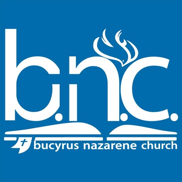 Cover art for BNC Podcast