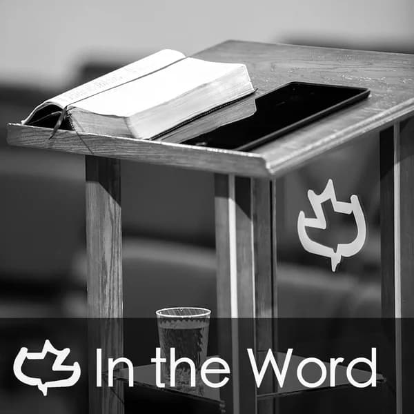 Cover art for In the Word