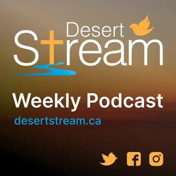 Cover art for Desert Stream - Belong. Believe. Become