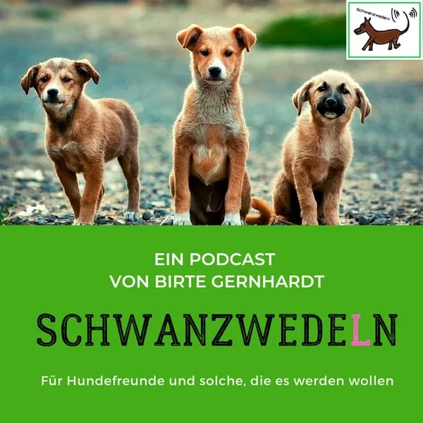 Cover art for Schwanzwedeln