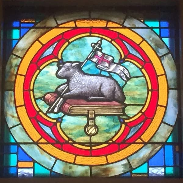 Cover art for Feeding the Flock