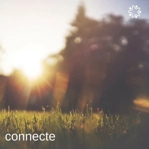 Cover art for Connecte