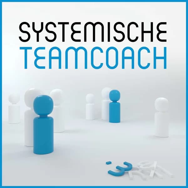 Cover art for Systemische Teamcoach