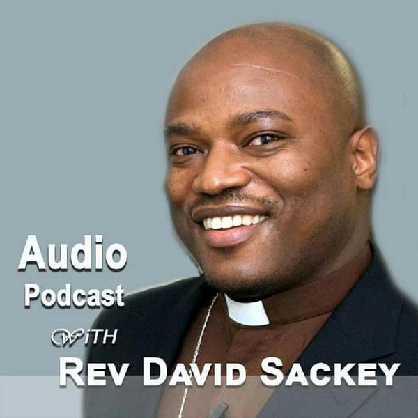 Cover art for David N Sackey