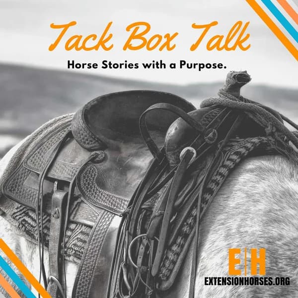 Cover art for Tack Box Talk