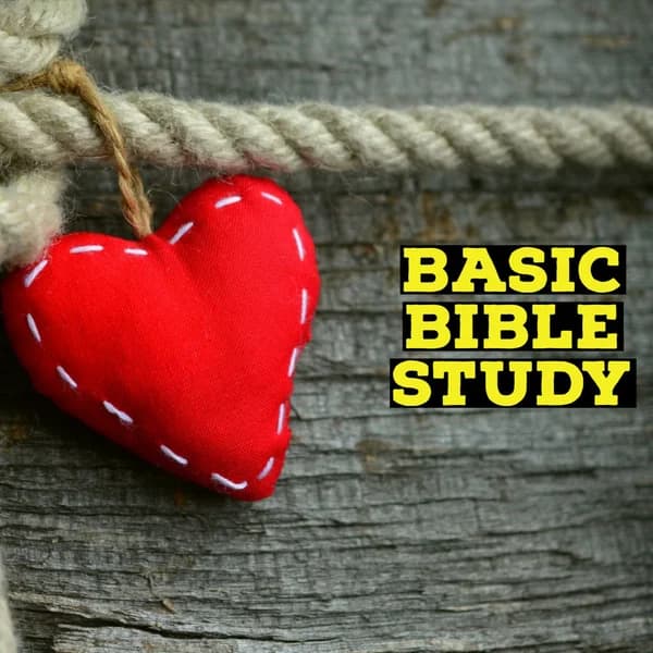 Cover art for Basic Bible Study