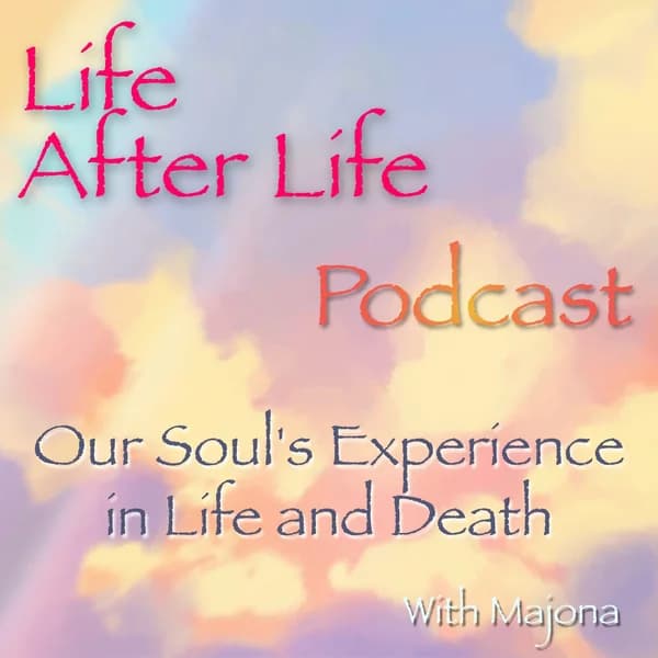 Cover art for Life After Life Podcast - Our Soul's Experience in Life and Death