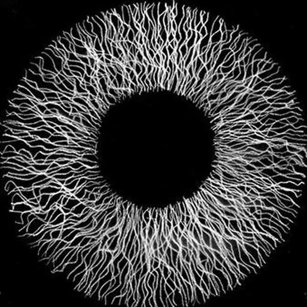 Cover art for What is sound ?