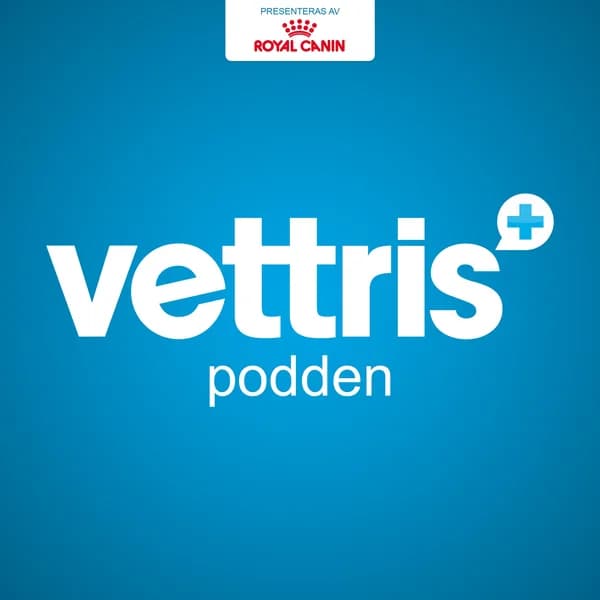 Cover art for Vettrispodden