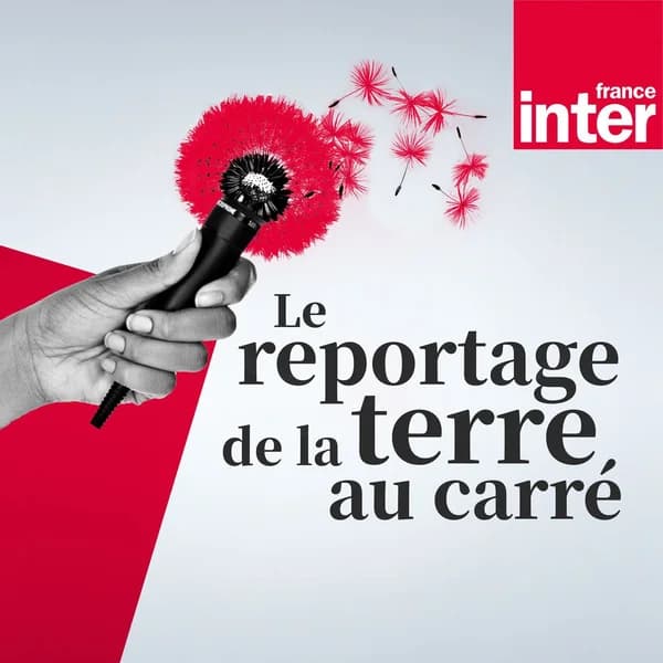 Cover art for Le reportage de la terre au carré