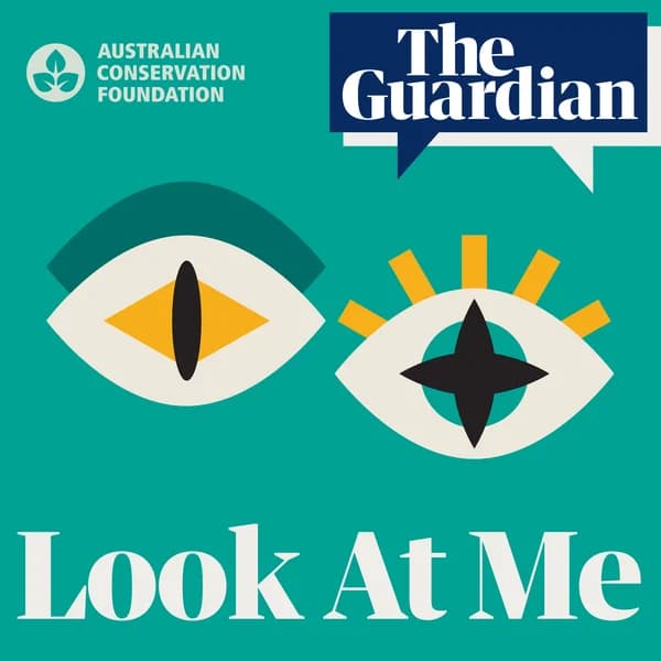 Cover art for Look at Me