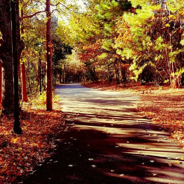 Cover art for I'm Walking Here