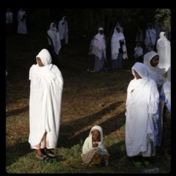 Cover art for Tewahido Bible Study