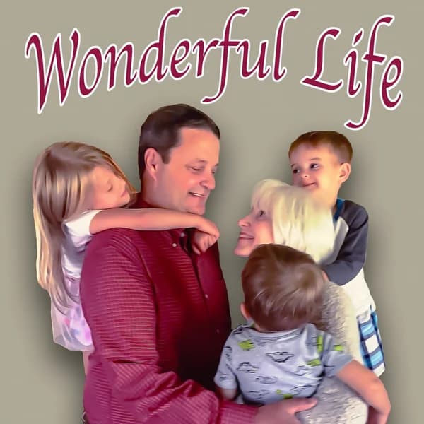 Cover art for Wonderful Life