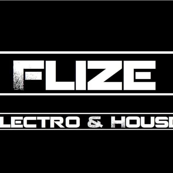 Cover art for Dj Flize