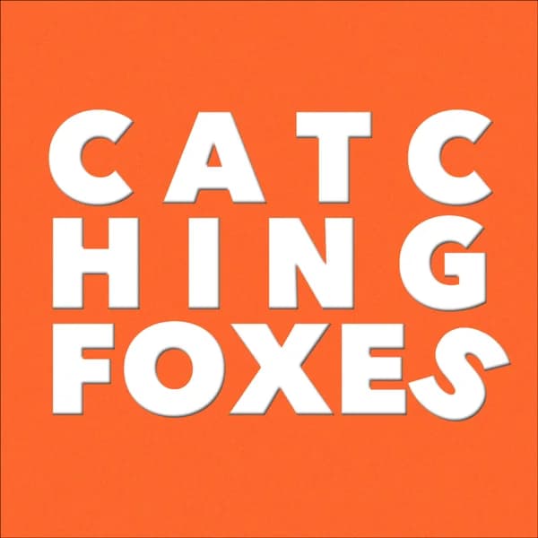 Cover art for Catching Foxes