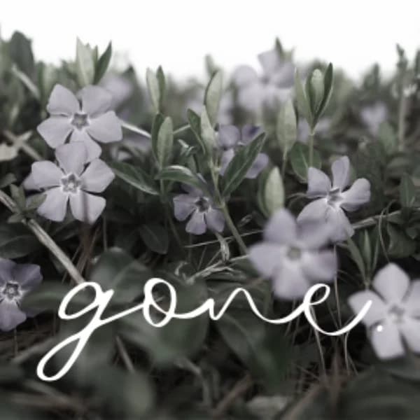 Cover art for Gone Podcast
