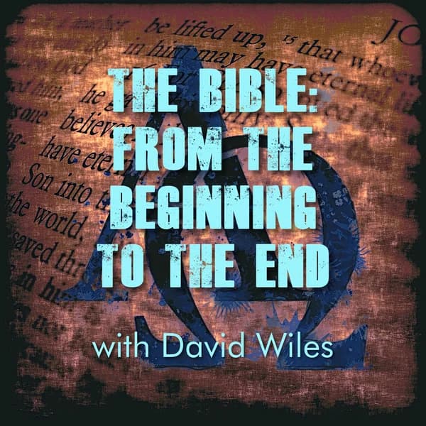 Cover art for The Bible - From the Beginning to the End