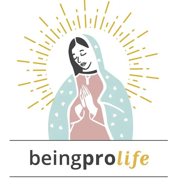 Cover art for Being Pro Life