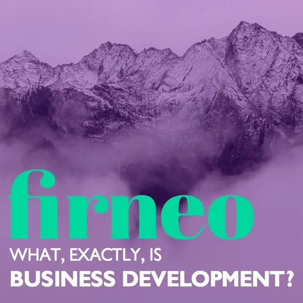 Cover art for What, Exactly, is Business Development?