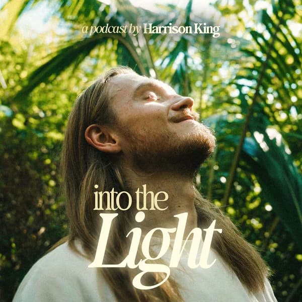 Cover art for Into The Light