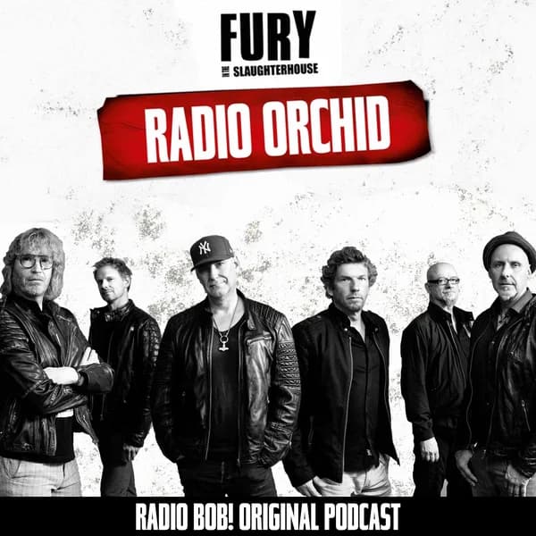 Cover art for Radio Orchid – der Fury in the Slaughterhouse Podcast bei RADIO BOB!