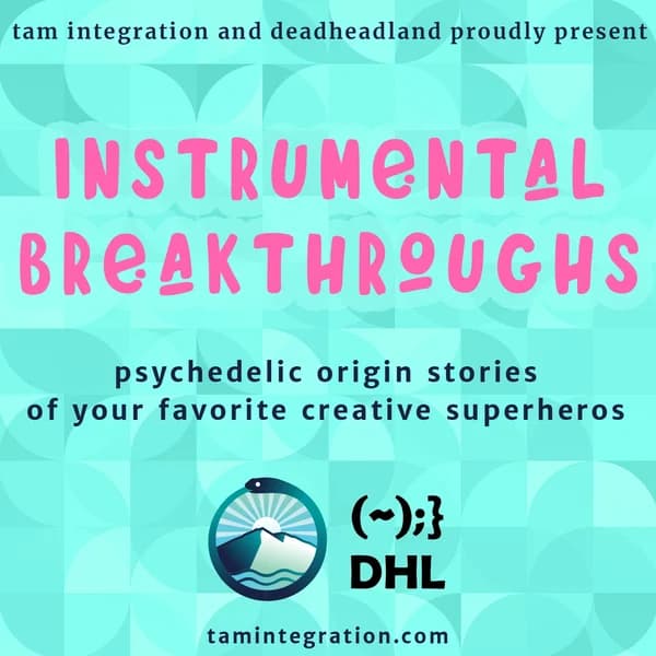 Cover art for Instrumental Breakthoughs