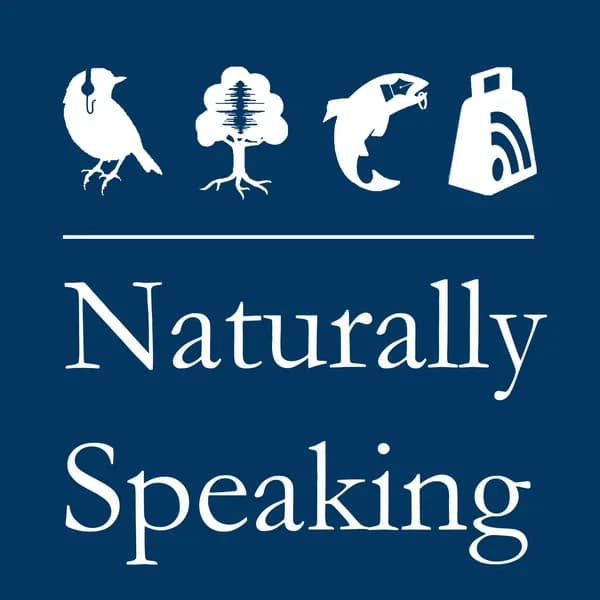 Cover art for Naturally Speaking