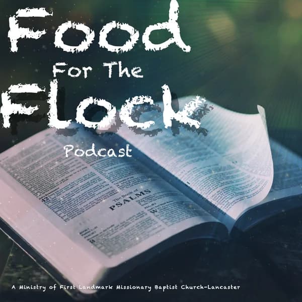 Cover art for Food For The Flock