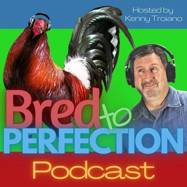 Cover art for Bred to Perfection
