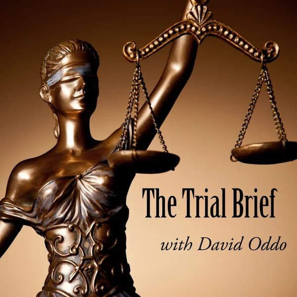 Cover art for The Trial Brief