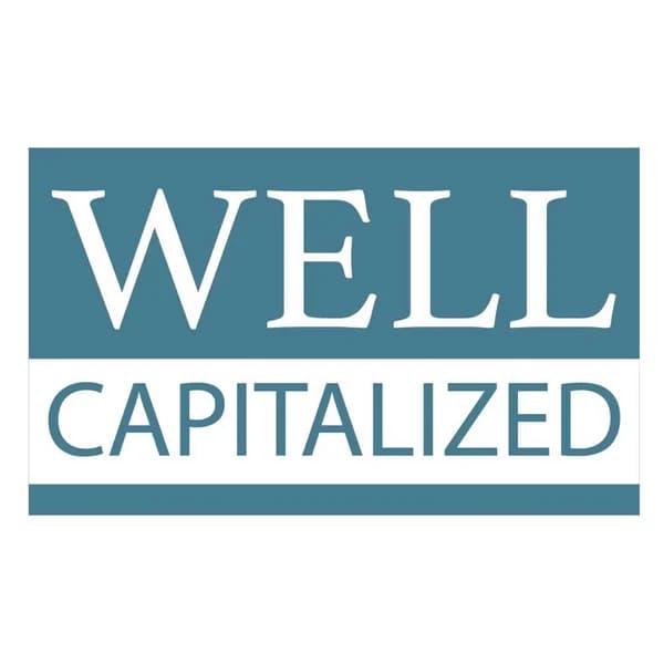 Cover art for Well Capitalized