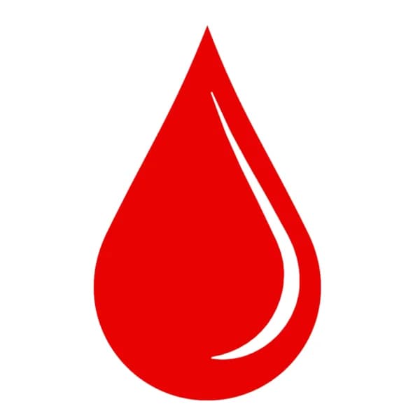 Cover art for Never Forget The Blood