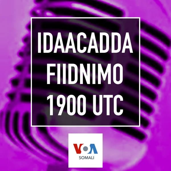Cover art for Idaacadda Fiidnimo - VOA