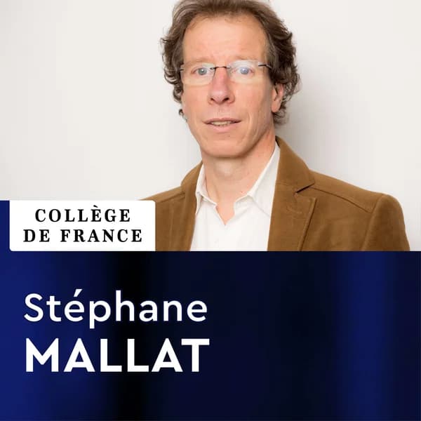 Cover art for Sciences des données - Stéphane Mallat