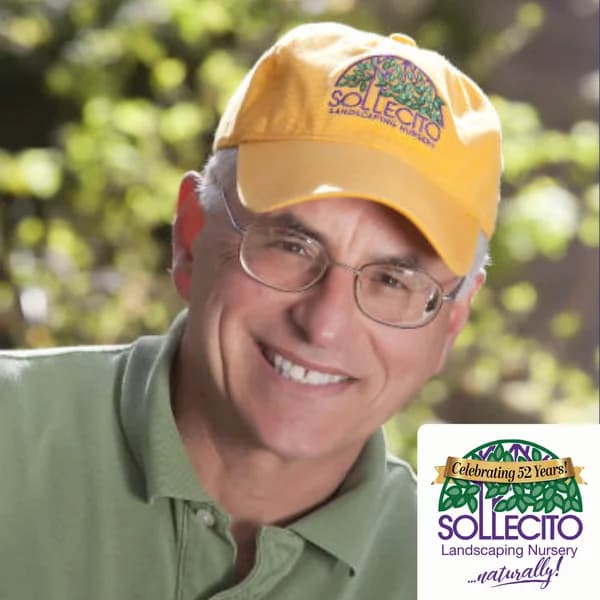 Cover art for From the Soil with Sollecito