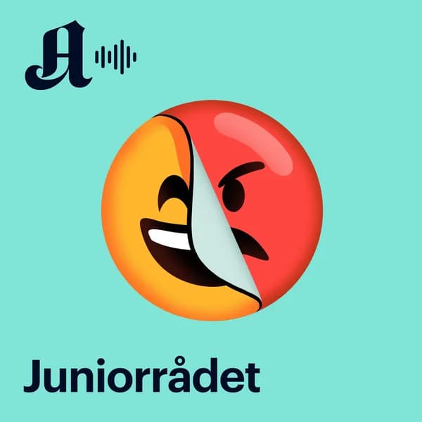 Cover art for Juniorrådet