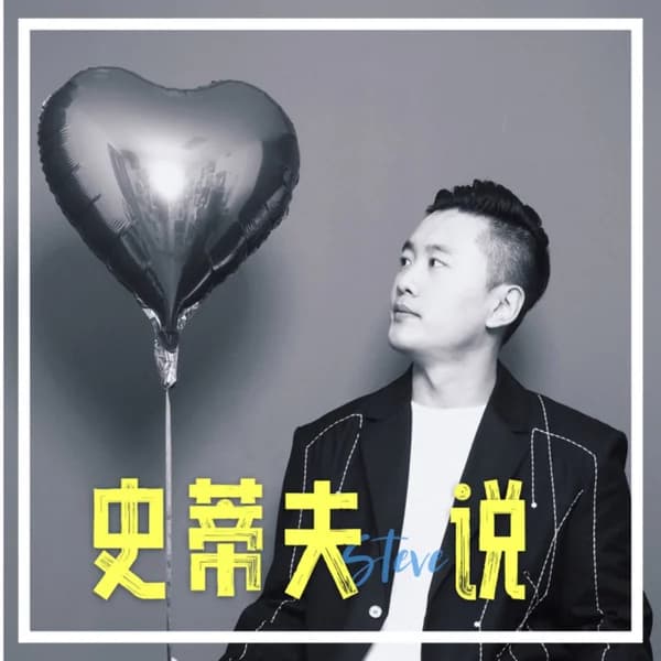 Cover art for 史蒂夫说