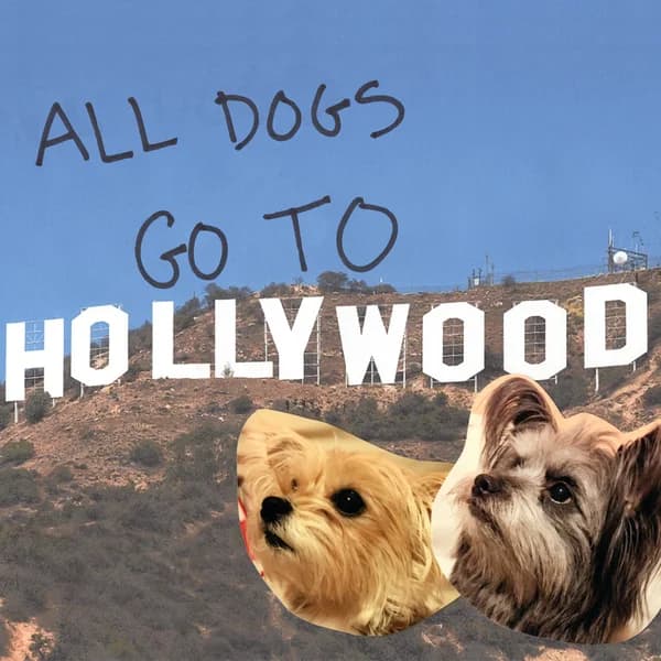 Cover art for All Dogs Go To Hollywood