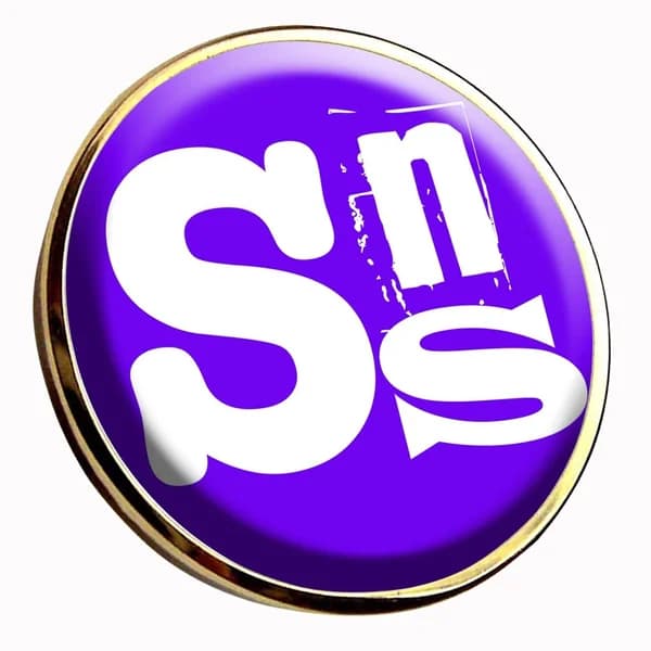 Cover art for SNS Online